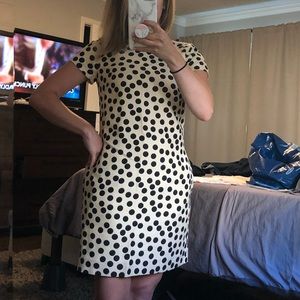 J Crew Scattered Shift Dress- Great condition!